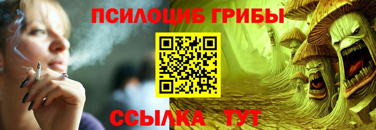 как найти   Псилоцибиновые грибы Magic Shrooms  Вход с VPN  Нижний Тагил 